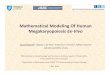 Mathematical Modeling Of Human Megakaryopoiesis Ex Vivojftiago/PDEBA2014/PDEBA201… · Mathematical Modeling Of Human Megakaryopoiesis Ex‐Vivo Javad Hatami1, Cláudia L. da Silva1,