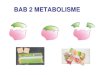 Bab 2 METABOLISME - indramalini.files.wordpress.com · Katabolisme Karbohidrat Bab 2 Metabolisme. Tahapan glikolisis Bab 2 Metabolisme Respirasi aerob. Tahapan siklus Krebs Bab 2