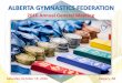 2016 Annual General Meeting · –GK Elite Sportswear –Boulevard Travel –Skyline Athletics –Future Fundraisers –Delta Hotels –MasterCard (GCG) •Recreational Gymnastics