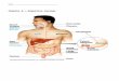 Chapter 6 – Digestive Systems · Web viewfor each of the terms below. Be sure that you