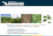 Industrial Hemp in Michigan - Program Overview and Update Gina Alessandri, Hemp ... · 2020. 1. 16. · History of hemp 1600 First introduced in North America 1700s Farmers in several