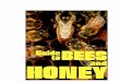Introducing the honeybee...Introducing the honeybee The honeybee colony consists of a queen, who is mother to the rest, and worker honeybees numbering about 10,000 in the winter and