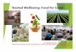 Rooted Wellbeing: Food for Goodguelph2016.crrf.ca/.../uploads/2016/10/BVRF2016Kevany.pdfpractices, u 4) economic prosperity through multi-sectoral collaboration. Nutrition Transitions