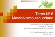 Tema Nº 6caelum.ucv.ve/bitstream/123456789/7966/1/6. METABOLISMO... · 2014. 12. 14. · Tema Nº 6 Metabolismo secundario Universidad Central de Venezuela Facultad de Farmacia 