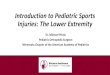MNAAP Introduction to Pediatric Sports Injuries, The Lower Extremity · 2020. 4. 10. · Injuries: The Lower Extremity Dr. Michael Priola ... •Anterior Compartment Syndrome •Rare