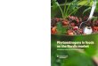 Phytoestrogens in foods in the Nordic market1137191/... · 2017. 8. 30. · Phytoestrogens in foods on the Nordic market Phytoestrogens are plant-derived compounds that may bind to
