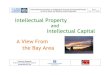 Intellectual Property · 2009. 12. 11. · Italy International Convention on Intellectual Property and Competitiveness of Micro, Small and Medium-sized Enterprises Rome Dec. 10-11,