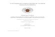 UNIVERSIDAD COMPLUTENSE DE MADRIDeprints.ucm.es/41351/1/T38434.pdf · SERVICIOS DE URGENCIAS: ADECUACIÓN EN LA FASE AGUDA Y PROPUESTAS DE MEJORA” Trabajo original presentado para