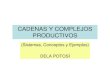 CADENAS Y COMPLEJOS PRODUCTIVOS · 2008. 2. 6. · • Cadena Productiva: eslabonamiento deCadena Productiva: eslabonamiento de actividades, actores y fines a lo largo de un proceso