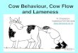 Cow Flow and Cow Behaviour - ANIMAL WELFARE SCIENCE …€¦ · S. Bateman N. Chesterton Inglewood Vet Services  Cow Behaviour, Cow Flow and Lameness
