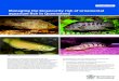 Managing the biosecurity risk of ornamental aquarium fish ... · Many fish and invertebrates in the aquarium trade have been unlawfully imported (or smuggled) into Australia. Unlawful