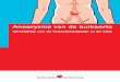 Verwijding van de lichaamsslagader in de buikvaatchirurg.eu/wp-content/uploads/2010/07/Aneurysma-van... · 2016. 12. 13. · Inhoudsopgave Pagina Inleiding 3 Wat is een aneurysma?