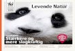 Levende Natur - awsassets.wwfdk.panda.orgawsassets.wwfdk.panda.org/downloads/ln_04_2016.pdf · Tryk KLS Grafisk Hus A/S Oplag 19.300 Du kan blive medlem ved at betale minimum 360