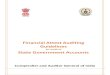 Financial Attest Auditing Guidelines · PDF file 2 Audit Planning 5-12 3 Audit Implementation 13-22 4 Documentation and Reporting 23-28 Annexure Annexure A Sources of Information-