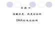 DNA的电泳检测 - ScienceNet.cnimage.sciencenet.cn/olddata/kexue.com.cn/upload/blog/... · 2018. 11. 27. · dna电泳速率与电荷效应无关（随着碱基数的增加，dna