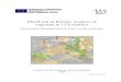 Flood risk in Europe: analysis of exposure in 13 Countries · 2011. 4. 6. · Flood risk in Europe: analysis of exposure in 13 Countries Nicola Lugeri, Elisabetta Genovese, Carlo