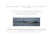 Bottlenose dolphin survey in the Lower River Shannon SAC, …...Bottlenose dolphin survey in the Lower River Shannon SAC, 2018 E. Rogan1, M. Garagouni,1 1M. Nykänen1 A. Whitaker &