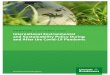 International Environmental and Sustainability Policy During … · 2020. 10. 8. · position // october 2020. International Environmental . and Sustainability Policy During and After