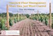 Vineyard Floor Management: More than just Weed Control · 2017. 3. 16. · May June July Aug Sept Oct reak oom on Concord Row Middle Mgt Study 1992-1995. Concord Shoot Growth 1993
