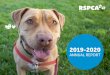 2019-2020...FOR PROJECT SAFE ANIMALS 65 ANIMALS IN EMERGENCY BOARDING ANIMAL HOMING BREAKDOWN 6% TRANSFERRED 75% ADOPTED 19% REUNITED 3026 …