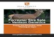 Forrester Sire Sale – Venison Geneticspeelforestestate.co.nz/wp-content/uploads/2015/11/...Having quantifiable data like an Angus catalogue is where we see the Forrester bloodlines