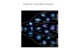 Galaxies and their Nuclei - College of Charleston · 2019. 1. 30. · Spiral versus Elliptical Galaxies One idea to explain why some galaxies become spirals and other ellipticals