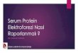 Serum Protein Elektroforezi Nasıl Raporlanmalı · 2019. 12. 13. · Önerilen Metodlar Agaroz jel bazlı ... “Non-spesifik elektroforez bulguları, belirgin paraprotein bandı