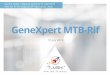 GeneXpert MTB-Rif · 2020. 9. 30. · MTB/Rif Ultra Assay • Xpert Ultra higher sensitivity in smear-negative PTB • May improve early diagnosis in: • HIV+ • Children • Loss