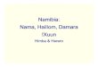 Namibia: Nama, Haiǁom, Damara !Xuun...Damara • genetically very different from other “Khoisan” populations • ~75% clearly Bantu-associated Y-chromosome haplogroups, some European