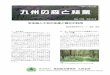 早生樹人工林の生産と養分の利用...ISSN 1346-5686 No.109 2014.9 独立行政法人 森林総合研究所 九州支所Kyushu Research Center, Forestry & Forest Products