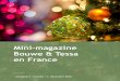 Mini-magazine Bouwe & Tessa en France · 2019. 12. 9. · Mini-magazine Bouwe & Tessa en France –Jaargang 2, nummer 11, december 2016 Afgelopen maand Zoals we in de inleiding al