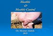 Mastitis Mastitis Control - · PDF file 2013. 4. 25. · Mastitis Treatment Intramammary infusion products 1. the quick-release, short-acting types designed specifically to treat mastitis