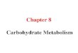 Chapter 8 Carbohydrate Metabolismndl.ethernet.edu.et/bitstream/123456789/78706/44/Chapter... · 2020. 5. 15. · Chapter 8 Carbohydrate Metabolism. Overview of Metabolism ... Ptyalin/salivary