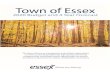 2020 Town of Essex Budget · 2020. 2. 19. · The Town of Essex will receive . $4,008,100. in 2020; a . $147,300 reduction. from the 2019 OMPF of $4,155,400. 2020 Operating / Capital