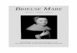 BRIELSE MARE Mare/Mare... · 2012. 8. 14. · A.A. van der Houwen (hoofdredacteur), F. Keller en K.J. Schipper. Omslagillustratie: Johannes Hulscher, portret van Maria Sijdervelt
