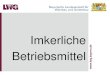 Imkerliche Betriebsmittel - Bayern · 2018. 12. 12. · Lagerbeute / Trogbeute: Rähmchen-weise Magazin: Zargen-weise . X . Erweiterungsarten . Folie 9 . Einbrutraum-System unterschiedliche