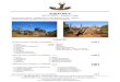 SAFARI ART NS - Juzna Afrika - caza antilopes paquetes · 2018. 12. 1. · SAFARI ART NS Saša Belančić +381 63 512 -215, tel/fax: +381 21 301 -3804 SRBIJA 21410 Futog Rumenačka
