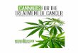 CANNABIS VIETNAM - Millions of people around the world die ...download.vietgrowers.org/Cannabis and Cancer.pdfis clear that cannabis extracts can fight many cancers in humans, and
