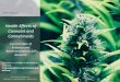 Health Effects of Cannabis and Cannabinoidswacodtx.org/.../10/D1-The-Health-Effects-of-Cannabis.pdf · 2019. 3. 8. · between parental cannabis use and a subsequent risk of developing