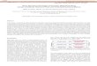 Direct Numerical Simulation of Complex Multi-Fluid Flows Using a … · 2013. 7. 11. · elements (particles, drops or bubbles) are tracked individually taking into account the interactions