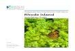 Hedgerow Planting (422) for Pollinators Rhode Island › sites › default › files › 2018-05 › 17...Hedgerow Planting (422) for Pollinators: Rhode Island. Rhode Island. Client