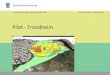 Pilot - Trondheim · 2018. 11. 19. · Overblikk pilot Trondheim Plan: Detaljregulering Hallsteingård Reguleringsplan i 3d og digitale bestemmelser Status planarbeid: Nå vedtatt
