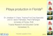 Pitaya production in Florida - UCANR · Pitaya production in Florida© Dr. Jonathan H. Crane, Tropical Fruit Crop Specialist and Dr. Aaron Palmateer, Plant Pathologist University