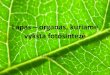 Lapas – organas, kuriame vyksta fotosintezėbiologijoskabinetas.weebly.com/uploads/2/4/4/3/...•Augalams, kaip ir gyvūnams, gyvybei palaikyti reikalinga energija. –Augalams,