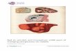 Bad air, amulets and mosquitoes: 2,000 years of changing perspectives on malaria · 2017. 4. 6. · REVIEW Open Access Bad air, amulets and mosquitoes: 2,000 years of changing perspectives