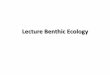 Lecture Benthic Ecology - KOCWcontents.kocw.net/KOCW/document/2016/chungnam/... · 2017. 2. 20. · • Epifauna - live attached to hard surfaces such as rocks, shells and pilings