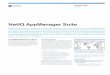 NetIQ AppManager Suite · 2017. 9. 11. · resolution across physical hardware, business ... such as Citrix XenApp. Flexibility to suit your unique busi- ... tensively to reduce the