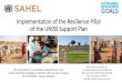 Implementation of the Resilience Pillar of the UNISS ......implementation of the resilience pillar of the uniss support plan presentation on behalf of: ms.marie-pierre poirier, unicef