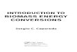 Introduction to biomass energy conversions · 2014. 7. 17. · Torrefaction 289 8.1 Introduction 289 8.2 Bio-Physico-ChemicalChangesinBiomassduring Torrefaction 291 8.3 TorrefactionProducts