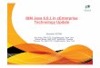 IBM Java 6.0.1 in zEnterprise Technology Update › share › 117 › webprogram...IBM J9 2.6 Technology Innovation Highlight and z/OS Value-add IBM Strategy Initiative on Java IBM